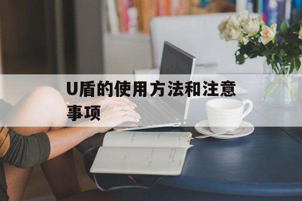 U盾的使用方法和注意事项-第1张图片-