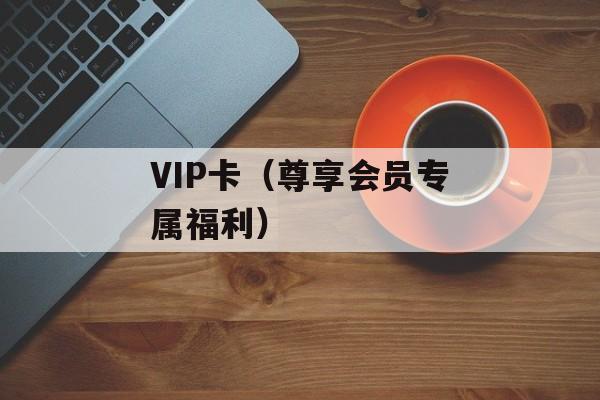 VIP卡（尊享会员专属福利）-第1张图片-