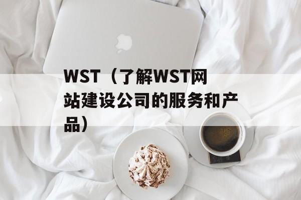 WST（了解WST网站建设公司的服务和产品）-第1张图片-