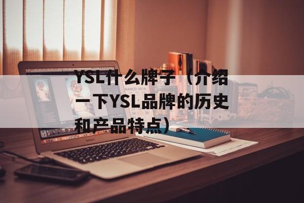 YSL什么牌子（介绍一下YSL品牌的历史和产品特点）-第1张图片-