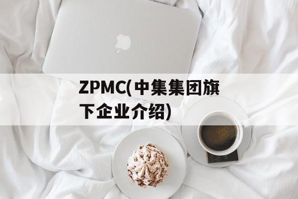 ZPMC(中集集团旗下企业介绍)-第1张图片-
