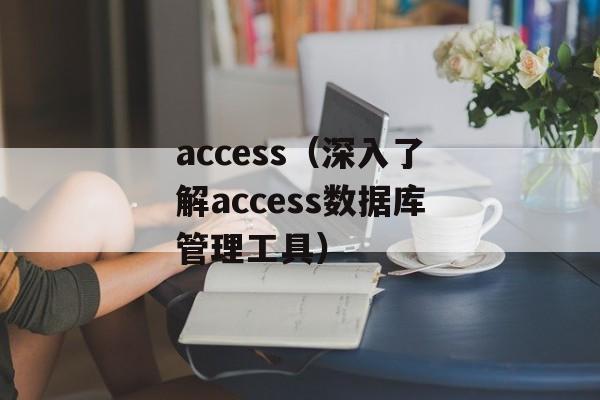 access（深入了解access数据库管理工具）-第1张图片-