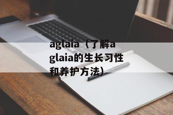 aglaia（了解aglaia的生长习性和养护方法）-第1张图片-