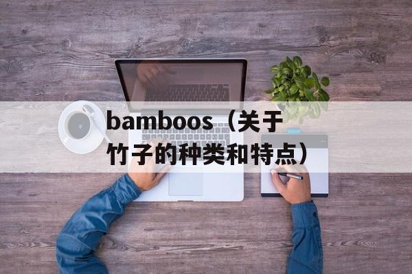 bamboos（关于竹子的种类和特点）-第1张图片-