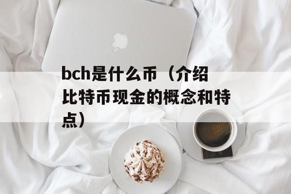 bch是什么币（介绍比特币现金的概念和特点）-第1张图片-