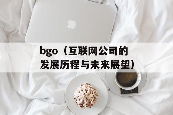 bgo（互联网公司的发展历程与未来展望）-第1张图片-