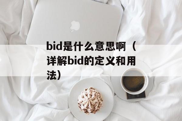 bid是什么意思啊（详解bid的定义和用法）-第1张图片-