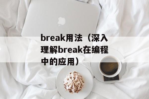 break用法（深入理解break在编程中的应用）-第1张图片-