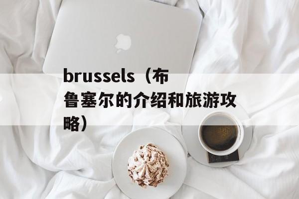 brussels（布鲁塞尔的介绍和旅游攻略）-第1张图片-