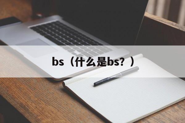bs（什么是bs？）-第1张图片-