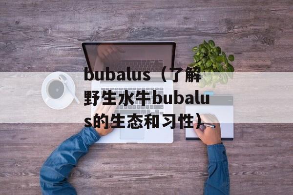 bubalus（了解野生水牛bubalus的生态和习性）-第1张图片-