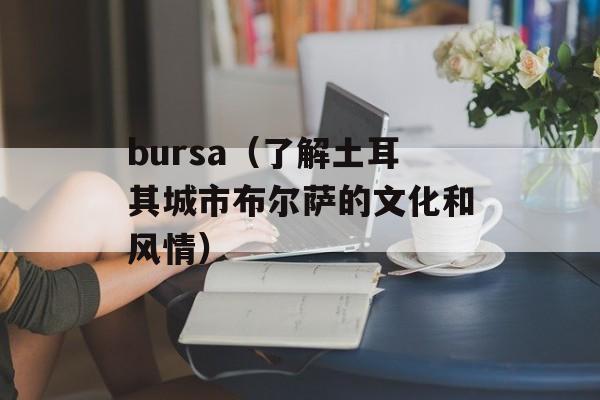 bursa（了解土耳其城市布尔萨的文化和风情）-第1张图片-