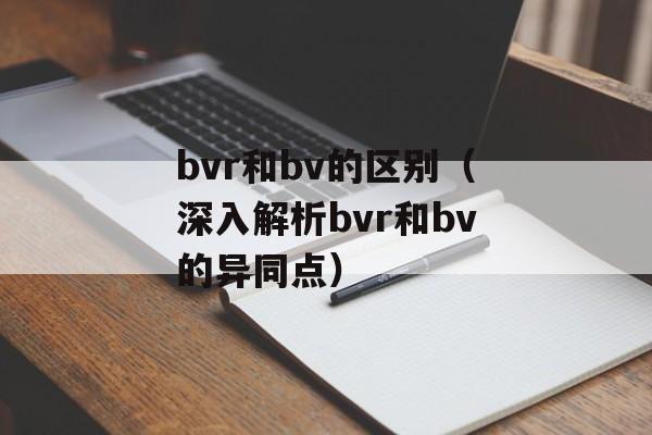bvr和bv的区别（深入解析bvr和bv的异同点）-第1张图片-