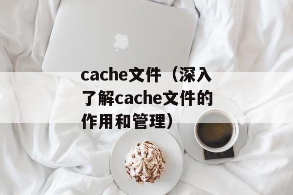 cache文件（深入了解cache文件的作用和管理）-第1张图片-