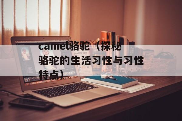 camel骆驼（探秘骆驼的生活习性与习性特点）-第1张图片-