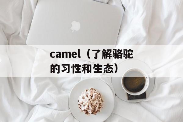 camel（了解骆驼的习性和生态）-第1张图片-