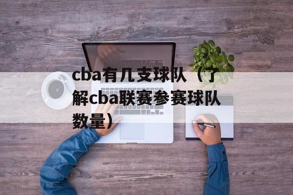 cba有几支球队（了解cba联赛参赛球队数量）-第1张图片-