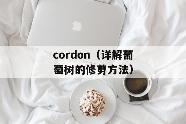 cordon（详解葡萄树的修剪方法）-第1张图片-