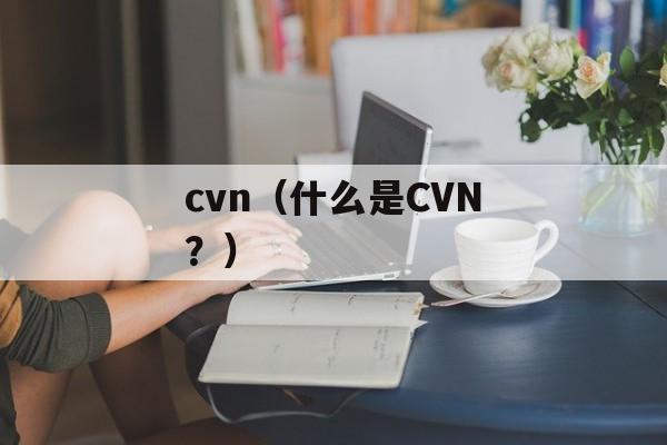 cvn（什么是CVN？）-第1张图片-