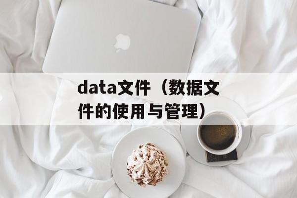 data文件（数据文件的使用与管理）-第1张图片-