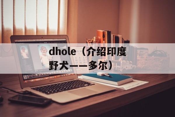 dhole（介绍印度野犬——多尔）-第1张图片-