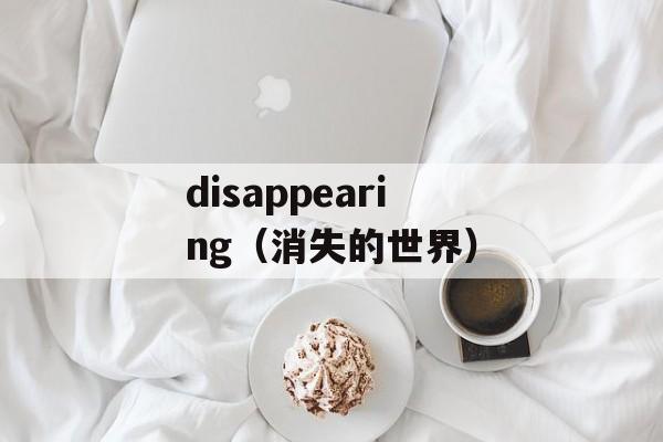 disappearing（消失的世界）-第1张图片-
