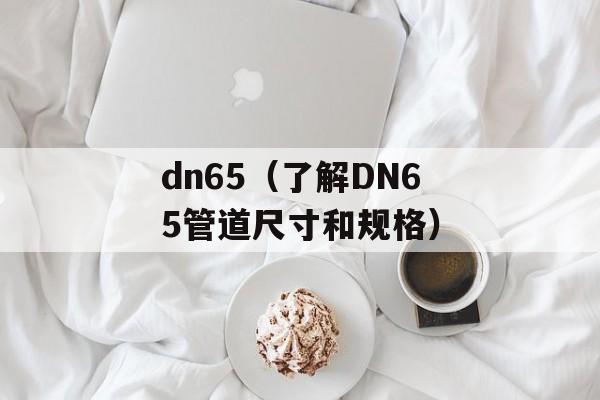 dn65（了解DN65管道尺寸和规格）-第1张图片-