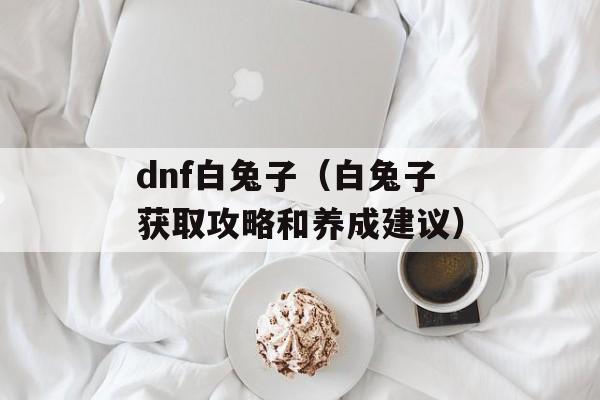dnf白兔子（白兔子获取攻略和养成建议）-第1张图片-