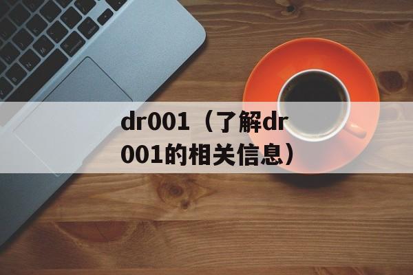 dr001（了解dr001的相关信息）-第1张图片-