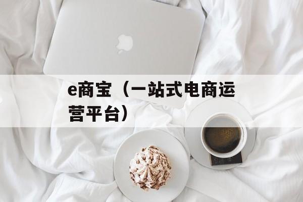 e商宝（一站式电商运营平台）-第1张图片-