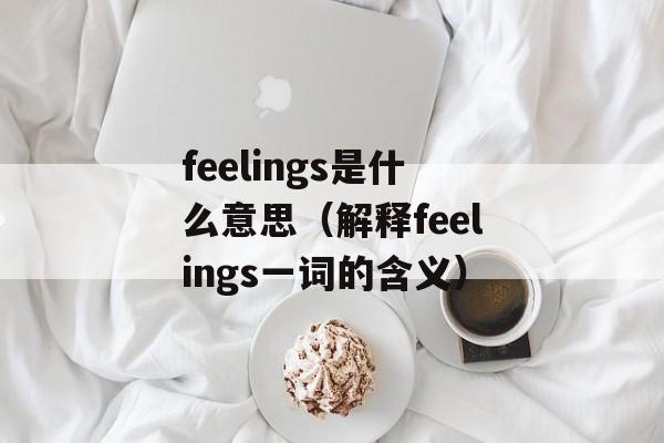 feelings是什么意思（解释feelings一词的含义）-第1张图片-