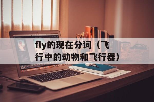 fly的现在分词（飞行中的动物和飞行器）-第1张图片-