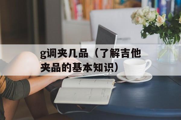g调夹几品（了解吉他夹品的基本知识）-第1张图片-