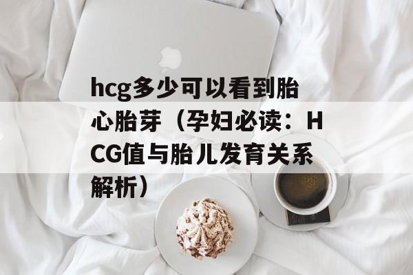 hcg多少可以看到胎心胎芽（孕妇必读：HCG值与胎儿发育关系解析）-第1张图片-