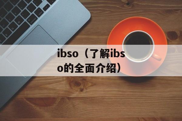 ibso（了解ibso的全面介绍）-第1张图片-