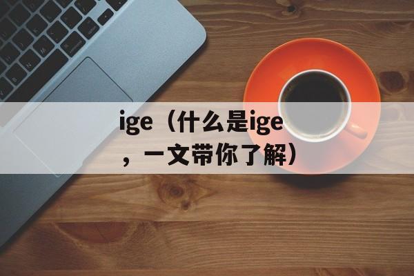 ige（什么是ige，一文带你了解）-第1张图片-