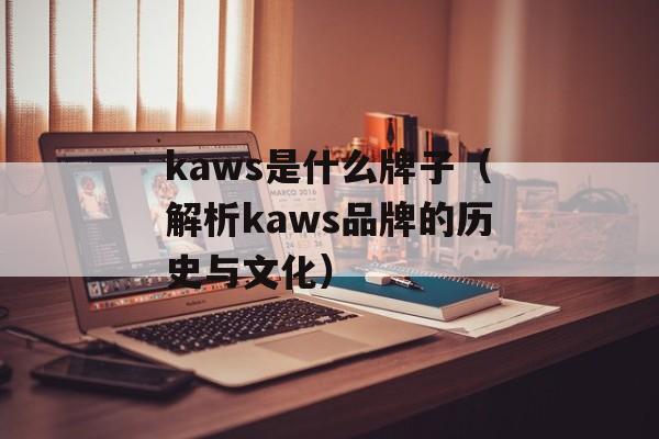 kaws是什么牌子（解析kaws品牌的历史与文化）-第1张图片-