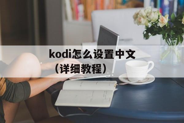 kodi怎么设置中文（详细教程）-第1张图片-