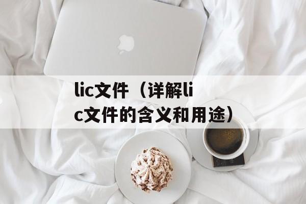 lic文件（详解lic文件的含义和用途）-第1张图片-