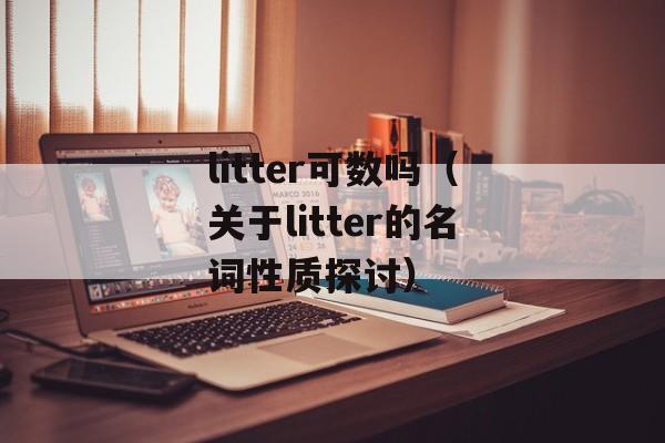 litter可数吗（关于litter的名词性质探讨）-第1张图片-