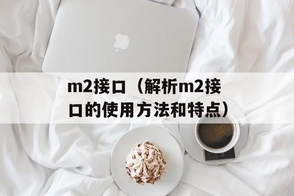 m2接口（解析m2接口的使用方法和特点）-第1张图片-