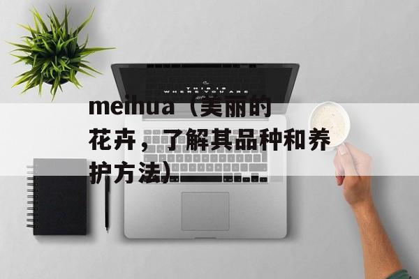 meihua（美丽的花卉，了解其品种和养护方法）-第1张图片-