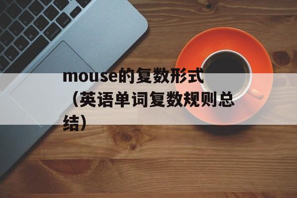 mouse的复数形式（英语单词复数规则总结）-第1张图片-