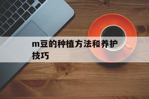 m豆的种植方法和养护技巧-第1张图片-