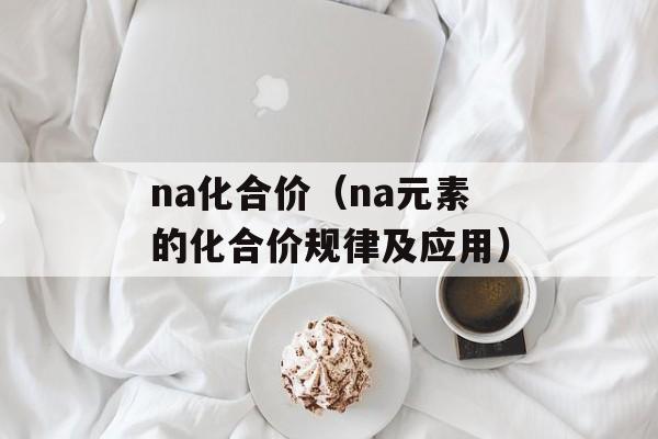 na化合价（na元素的化合价规律及应用）-第1张图片-