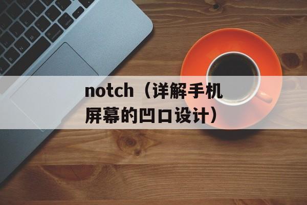 notch（详解手机屏幕的凹口设计）-第1张图片-