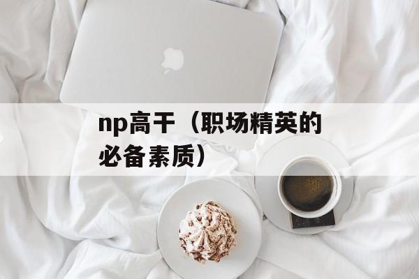 np高干（职场精英的必备素质）-第1张图片-