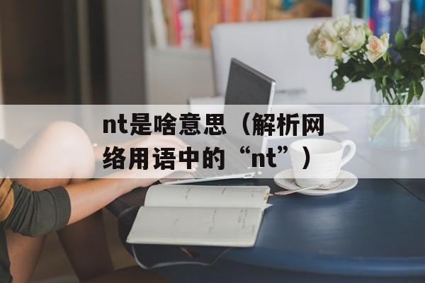 nt是啥意思（解析网络用语中的“nt”）-第1张图片-