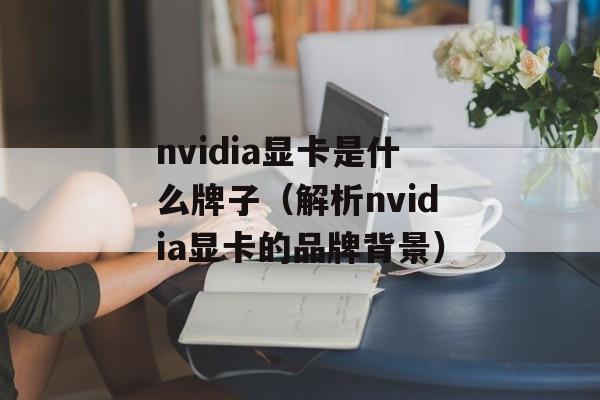 nvidia显卡是什么牌子（解析nvidia显卡的品牌背景）-第1张图片-