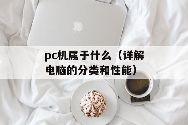 pc机属于什么（详解电脑的分类和性能）-第1张图片-